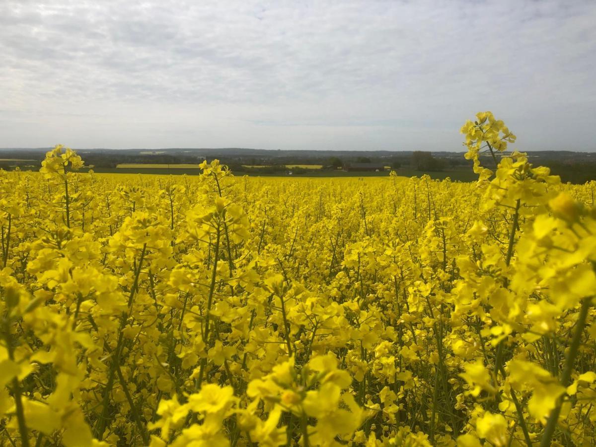 Rosloevs Gard Vackert Boende I En Naturskoen Miljoe. Flyinge Kültér fotó