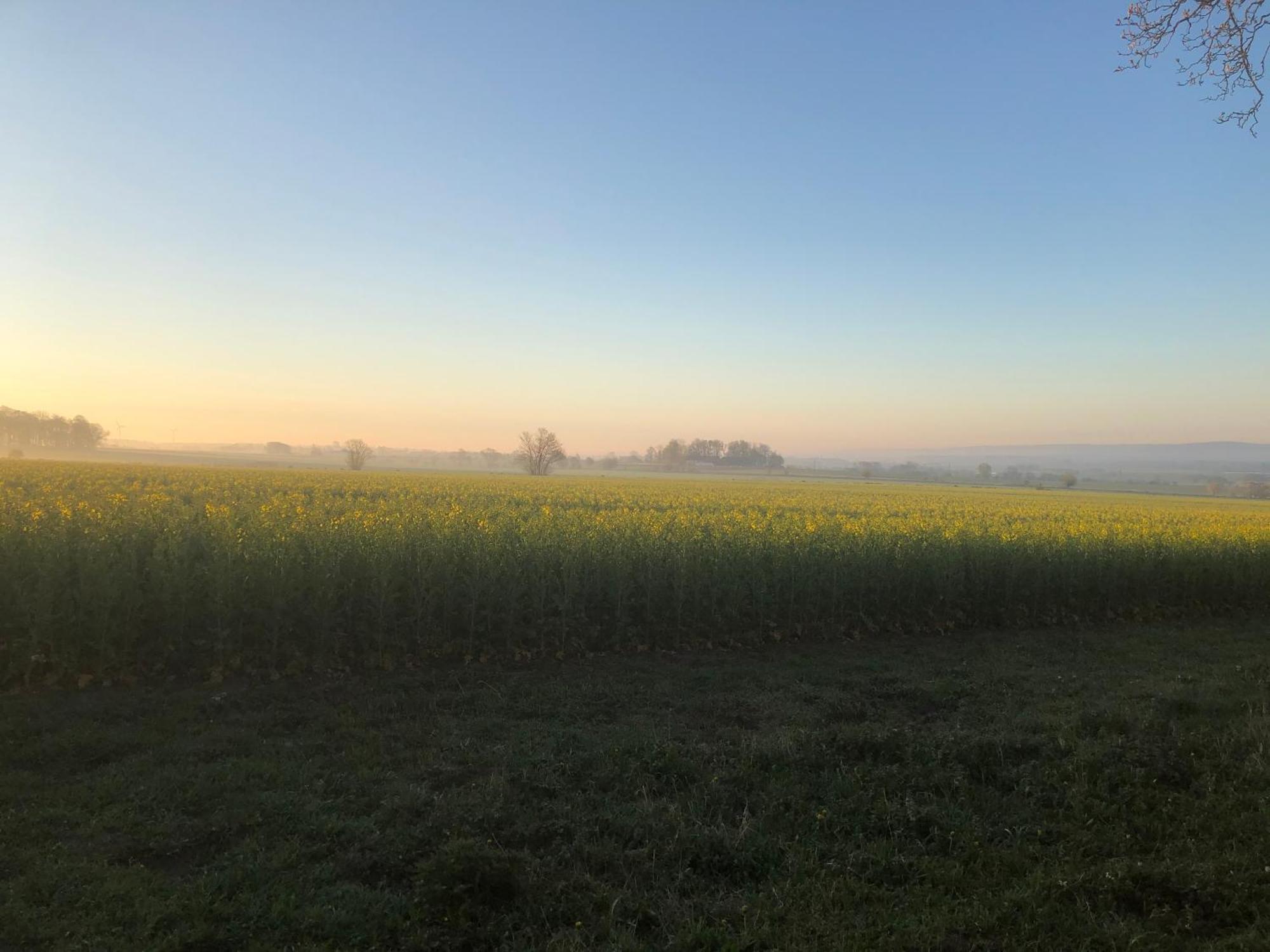 Rosloevs Gard Vackert Boende I En Naturskoen Miljoe. Flyinge Kültér fotó